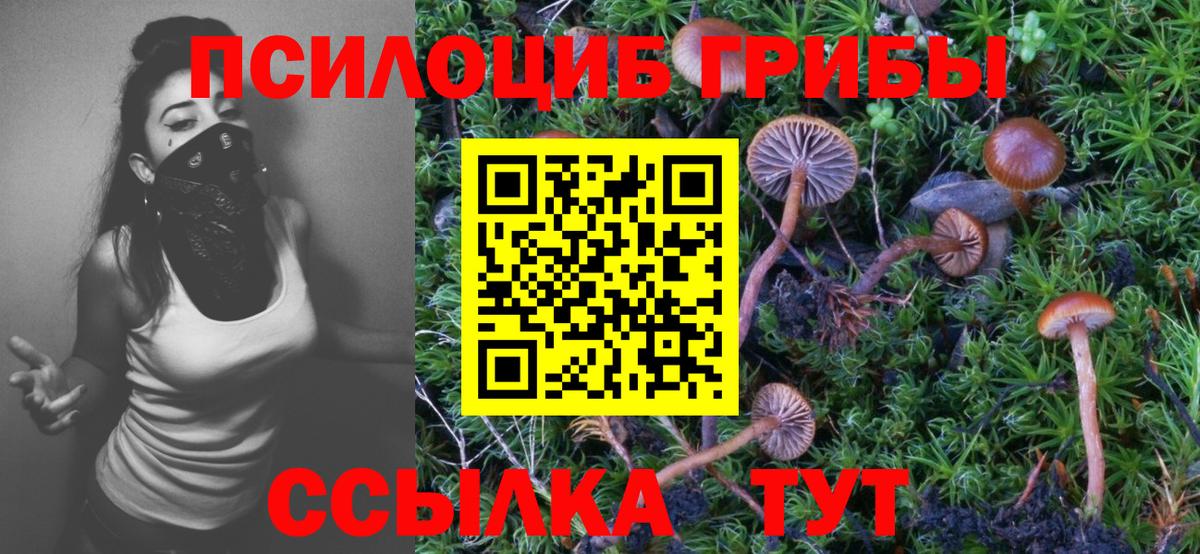 Майкоп  дарнет шоп  Вход с VPN  Псилоцибиновые грибы MAGIC MUSHROOMS 