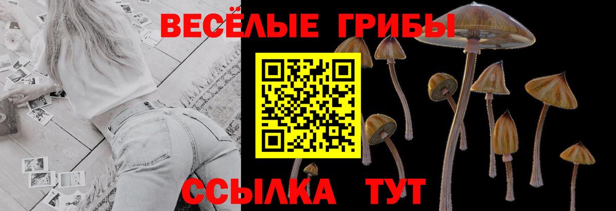 Галлюциногенные грибы GOLDEN TEACHER Майкоп